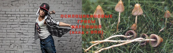 скорость Липки